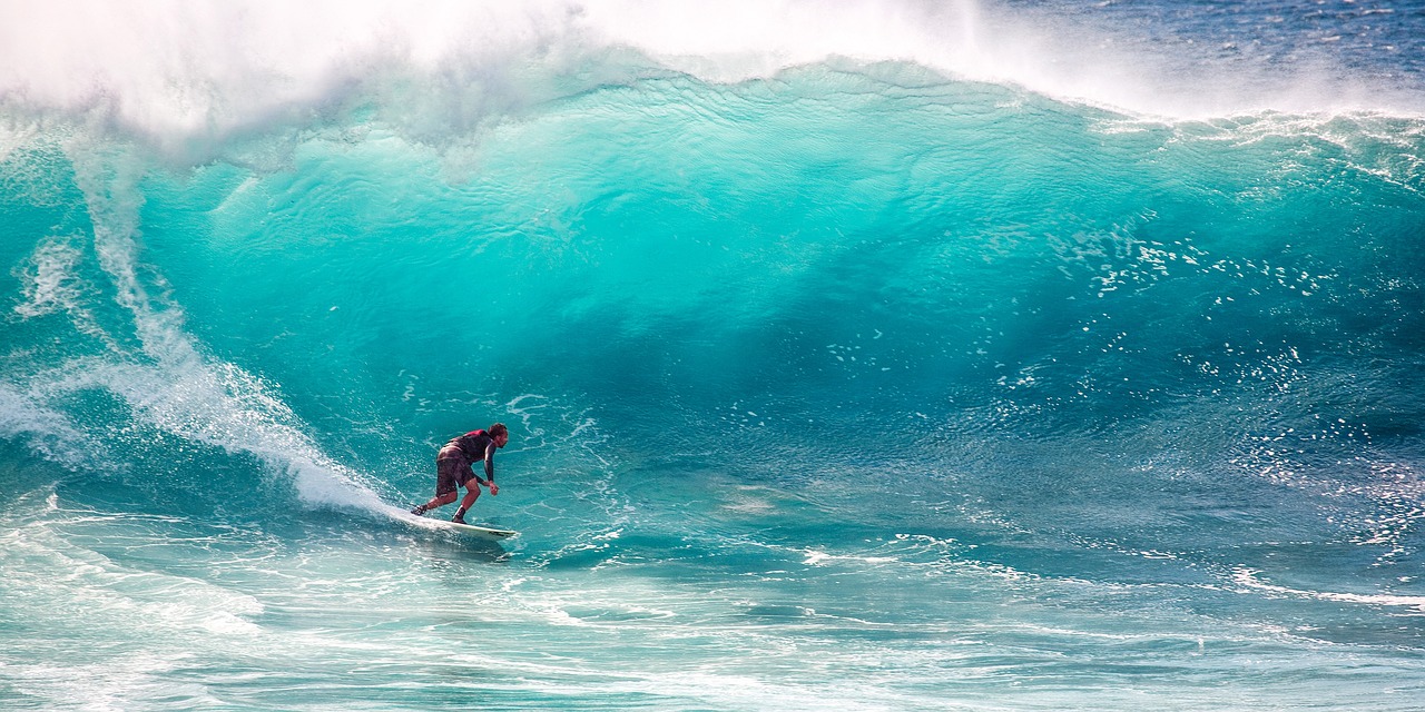 Surf, Kitesurf and Windsurf School Fuerteventura